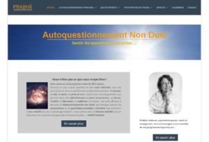 refonte site internet autoquestionnement.fr